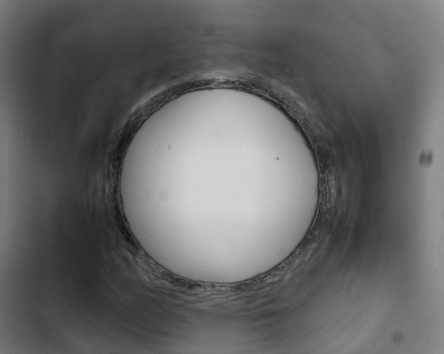 X0000103411158200809120941