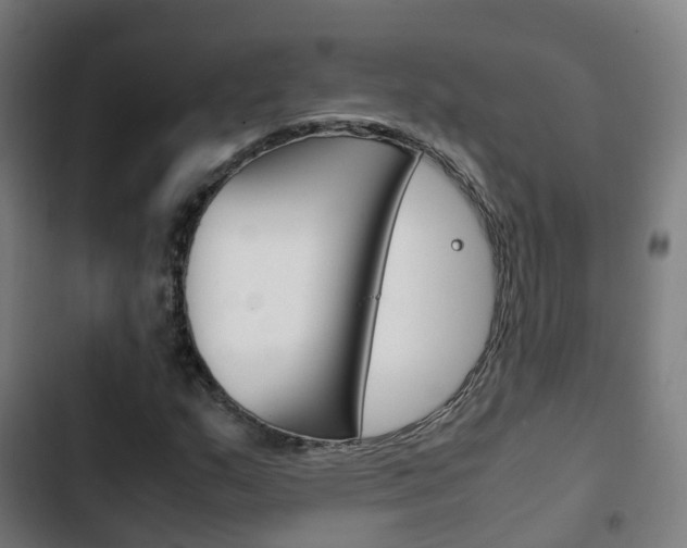 X0000103411159200809120941