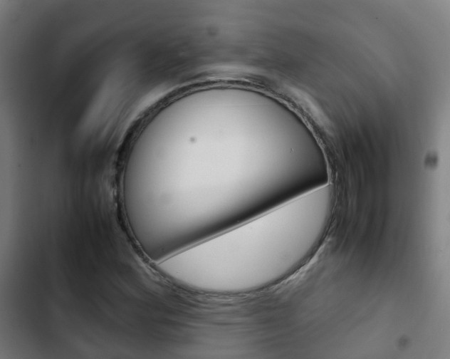 X0000103411164200809120941