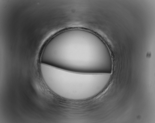 X0000103411167200809120941