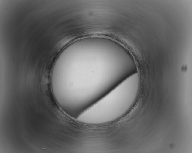 X0000103411169200809120941