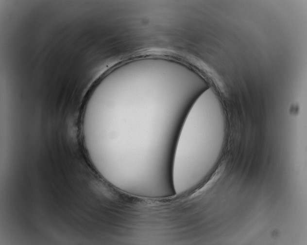 X0000103411170200809120941