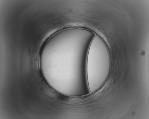 X0000103411171200809120941