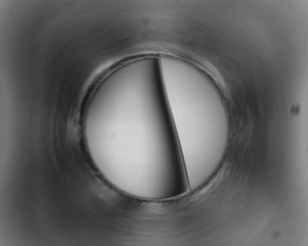 X0000103411172200809120941