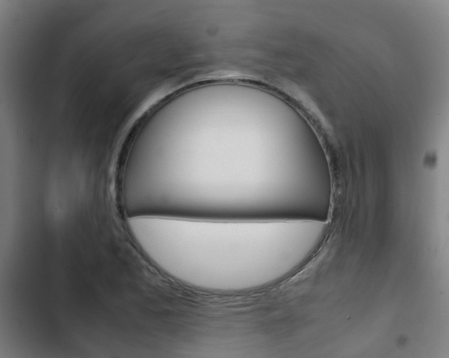 X0000103411173200809120941