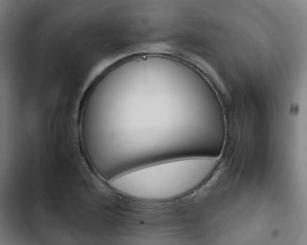 X0000103411176200809120941