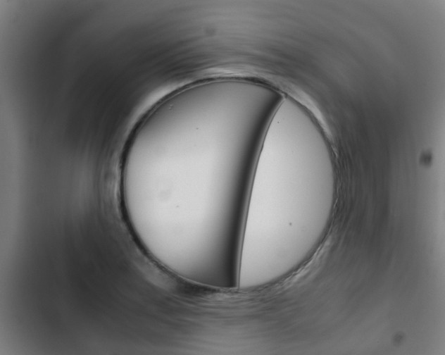 X0000103411179200809120941