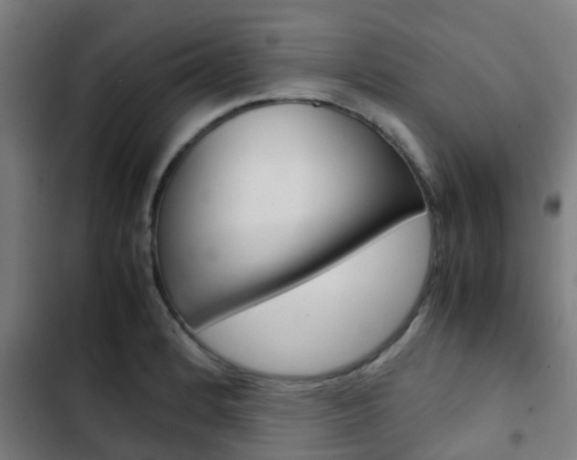 X0000103411184200809120941