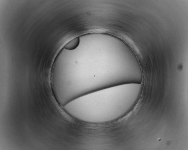 X0000103411186200809120941