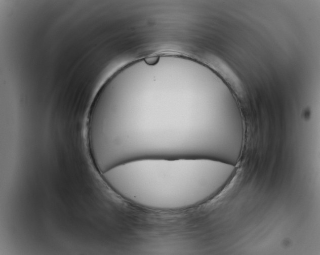 X0000103411190200809120941