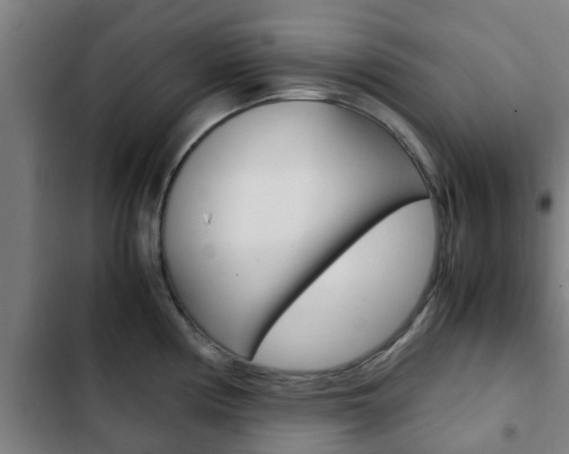 X0000103411194200809120941
