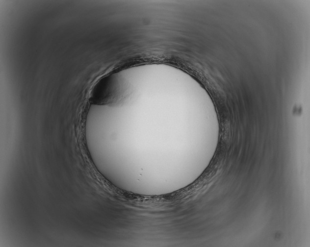 X0000103411201200809120940
