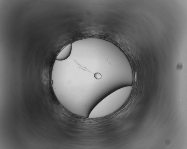 X0000103411203200809120940