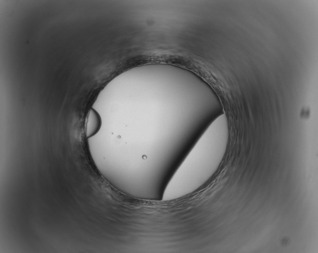 X0000103411204200809120940