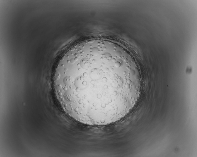X0000103411205200809120940