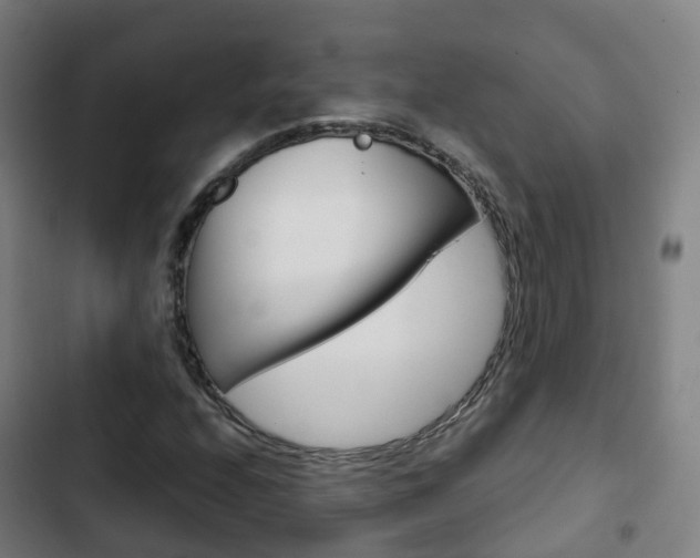 X0000103411208200809120940