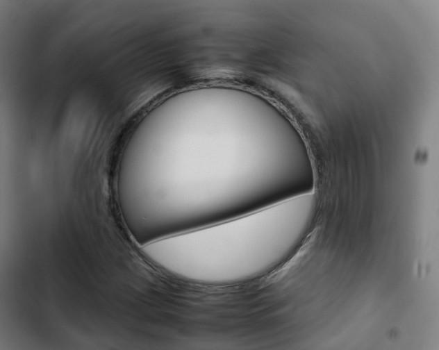 X0000103411209200809120940