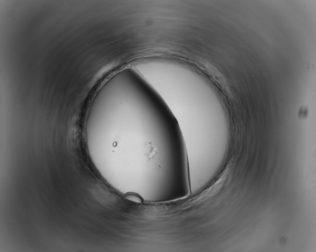 X0000103411210200809120940