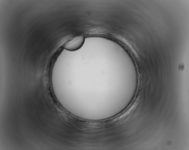 X0000103411211200809120940