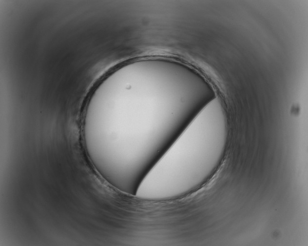 X0000103411212200809120940