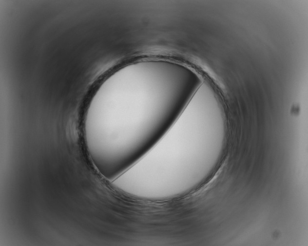 X0000103411213200809120940
