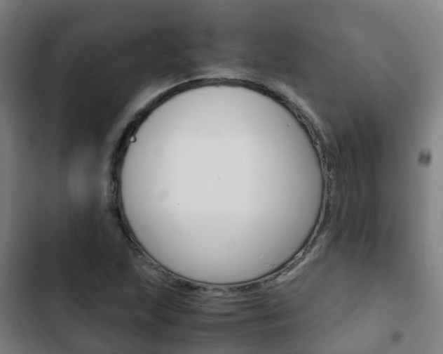X0000103411215200809120940