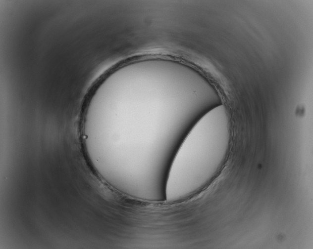 X0000103411216200809120940