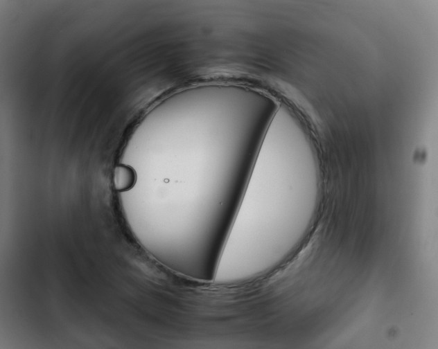 X0000103411217200809120940