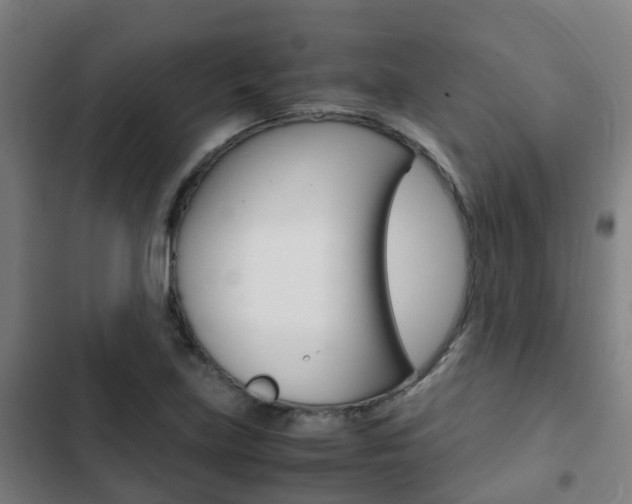 X0000103411219200809120940