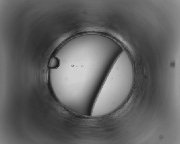 X0000103411221200809120940