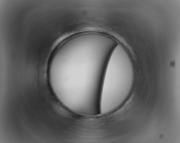 X0000103411222200809120940