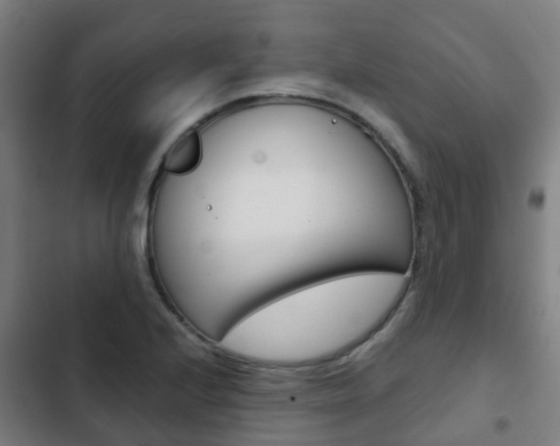 X0000103411224200809120940