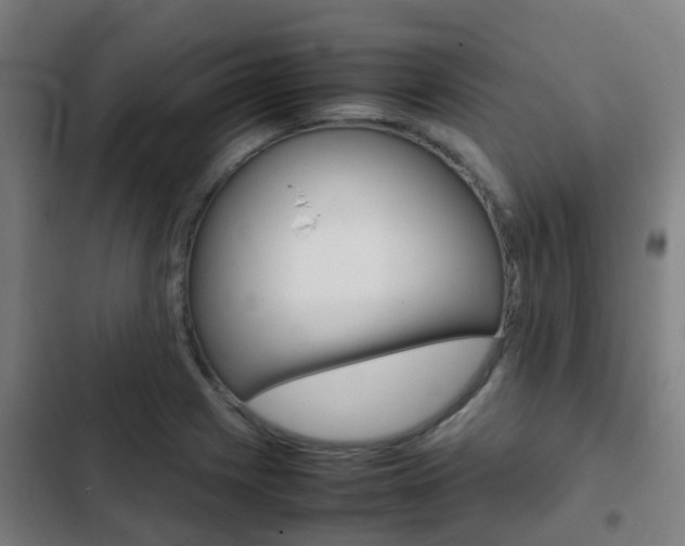 X0000103411225200809120940