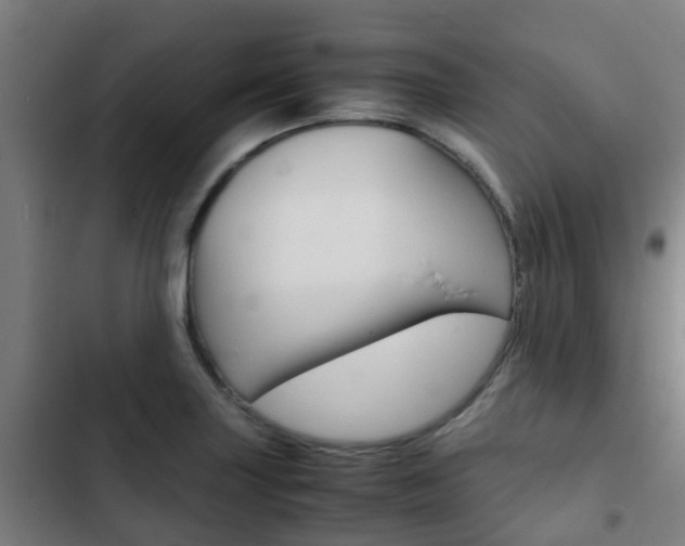 X0000103411227200809120940
