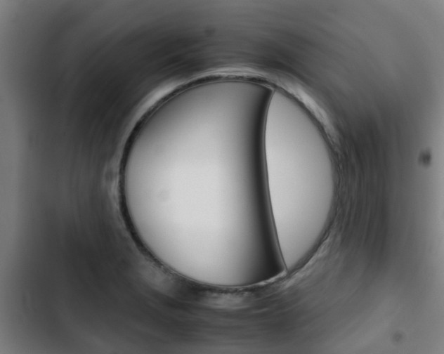 X0000103411229200809120940