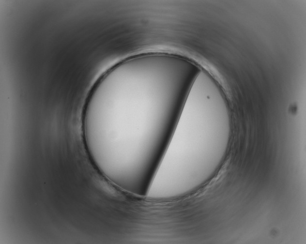 X0000103411230200809120940