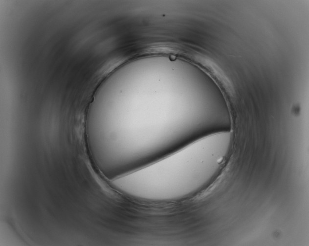X0000103411233200809120940