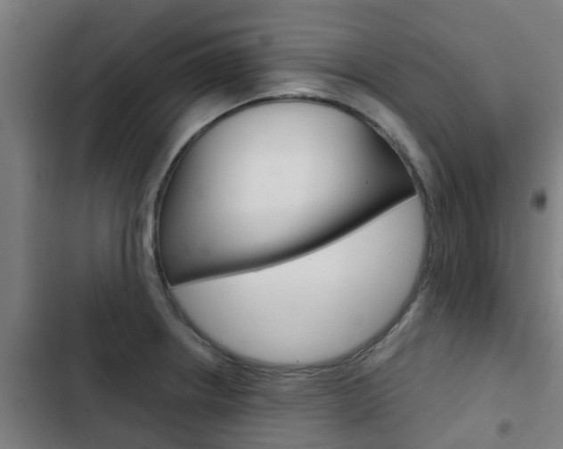 X0000103411234200809120940