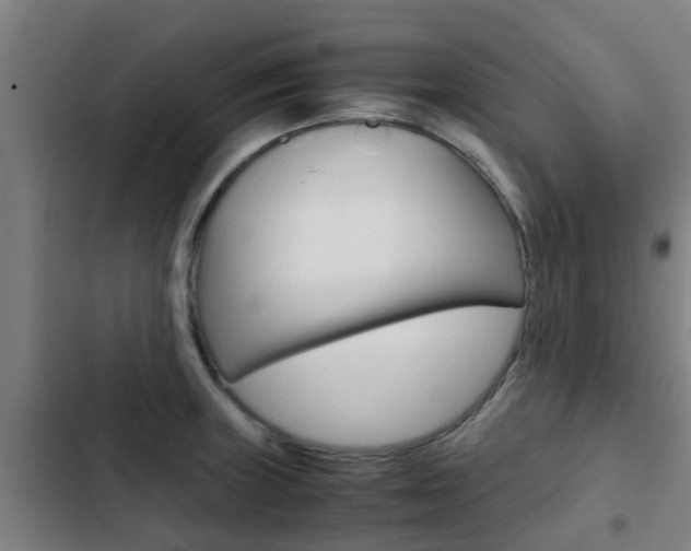 X0000103411235200809120940