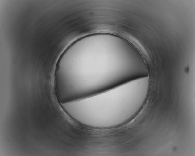 X0000103411236200809120940