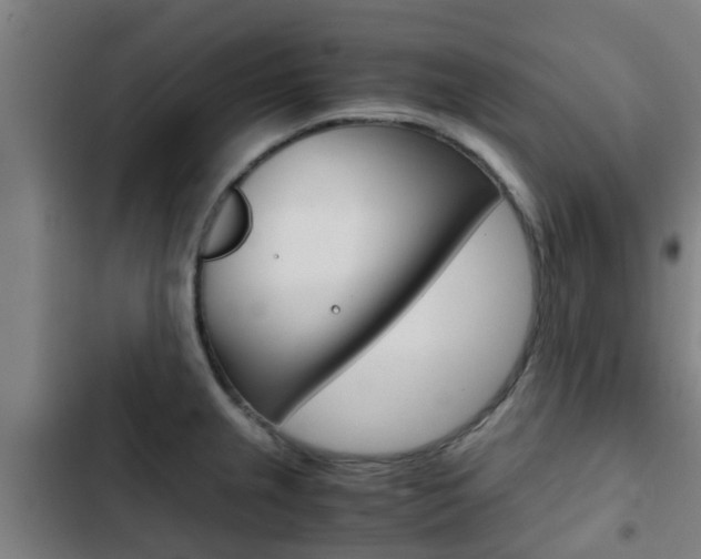 X0000103411237200809120940