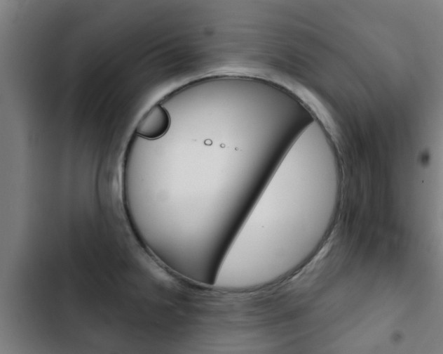 X0000103411238200809120940