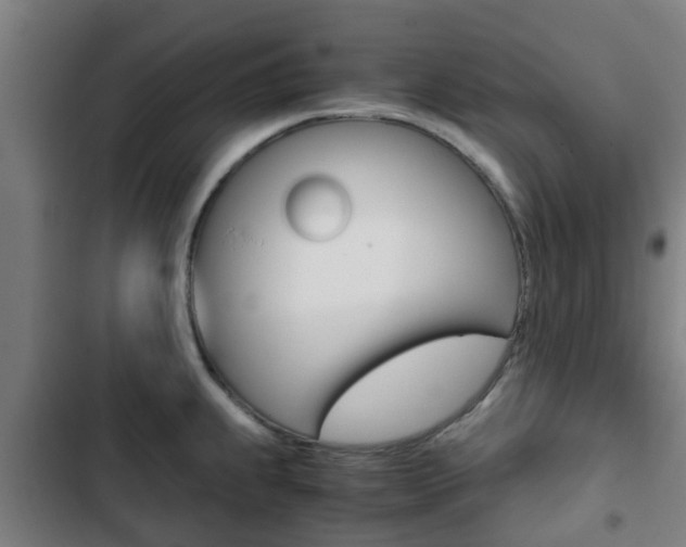 X0000103411239200809120940