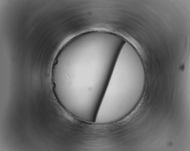 X0000103411240200809120940