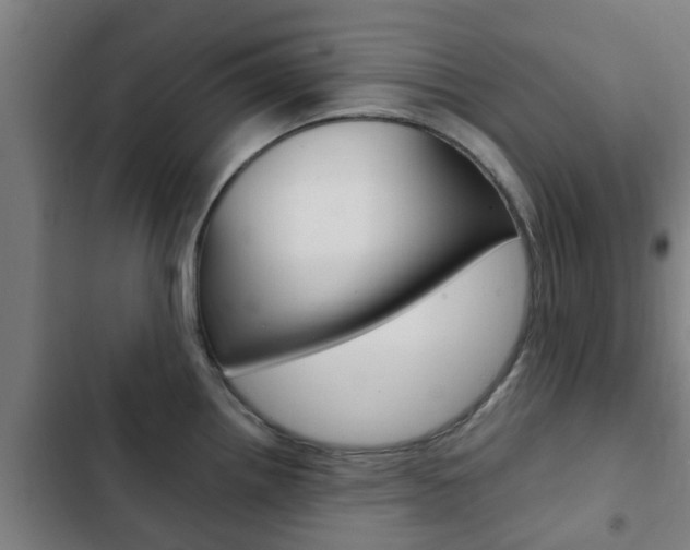 X0000103411242200809120941