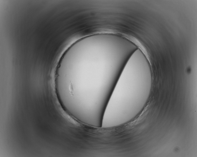 X0000103411243200809120941