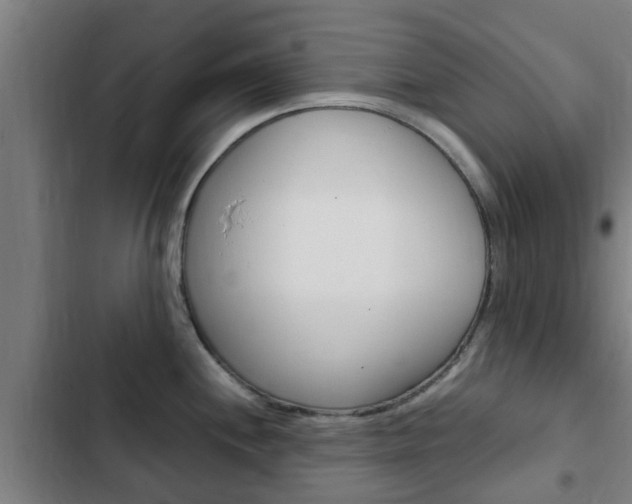 X0000103411244200809120941
