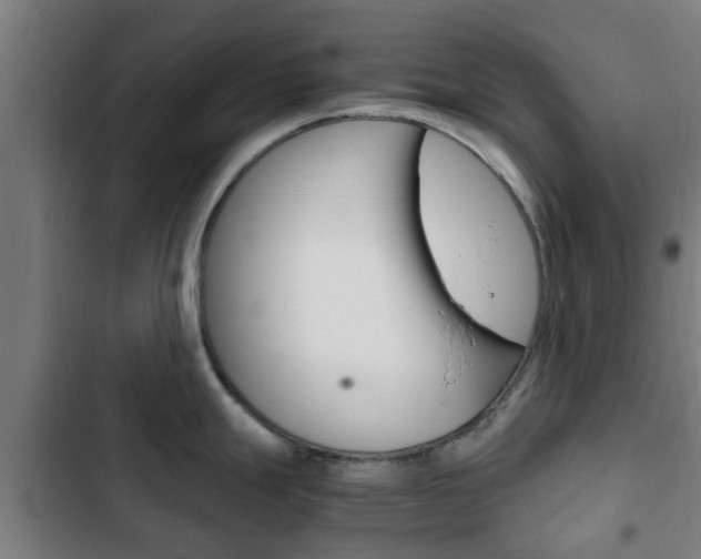 X0000103411247200809120941
