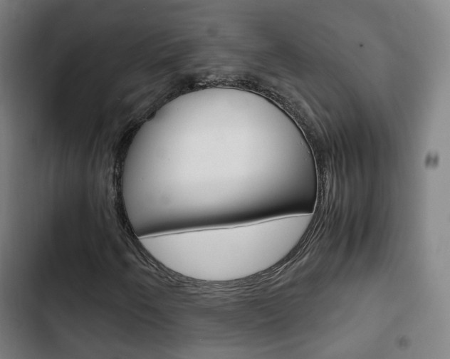 X0000103411250200809120940