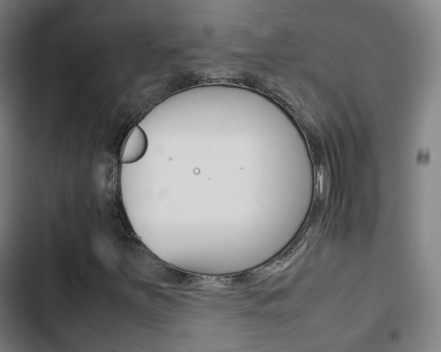 X0000103411251200809120940